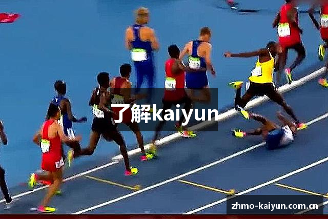 了解kaiyun